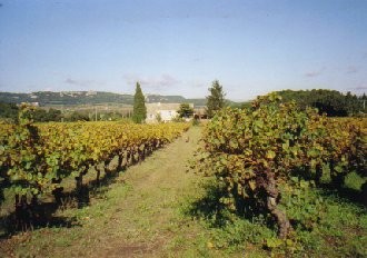 Photo N2:  Mas   Bagnols- Bagnols-sur-Cze Vacances  Gard (30) FRANCE 30-4749-1