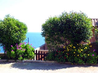 Photo N2: Location vacances Porto-Vecchio Tarco Corse (20) FRANCE 20-4759-1