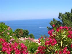 Photo N3: Location vacances Porto-Vecchio Tarco Corse (20) FRANCE 20-4759-1