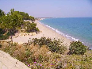 Photo N10: Location vacances Miami-Playa Salou Costa Dorada (Catalogne) ESPAGNE ES-3247-12