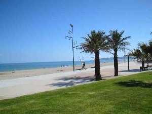 Photo N4: Location vacances La-Pineda-de-Salou Salou Costa Dorada (Catalogne) ESPAGNE es-3247-17