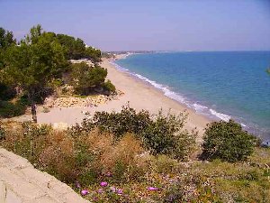 Photo N7: Location vacances Miami-Playa Cambrils Costa Dorada (Catalogne) ESPAGNE ES-3247-18