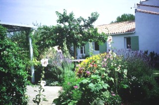 Photo N1:  Villa - maison Loix-en-R Vacances ile-de-r Charente Maritime (17) FRANCE 17-4906-1