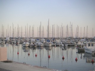 Photo N5:  Appartement da Solenzara Vacances Porto-Vecchio Corse (20) FRANCE 20-4914-1
