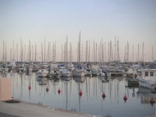 Photo N5: Location vacances Solenzara Porto-Vecchio Corse (20) FRANCE 20-4914-1