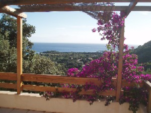 Photo N1: Location vacances Palombaggia Porto-Vecchio Corse (20) FRANCE 20-4910-1