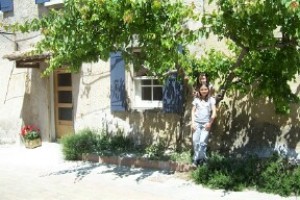 Photo N1: Location vacances Sablet Vaison-la-Romaine Vaucluse (84) FRANCE 84-3532-1