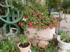Photo N9: Location vacances Canet Clermont-l-Hrault Hrault (34) FRANCE 34-4987-1