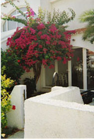 Photo N1: Location vacances Pilar-de-la-Horadada Torrevieja Costa Blanca ( Valencia) ESPAGNE es-4993-1