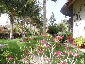 Photo N�3: ALQUILER VACACIONES Saly Mbour  SENEGAL - sn-4999-1 