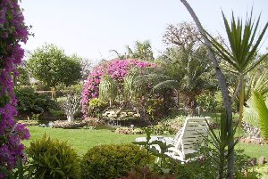 Photo N�4: ALQUILER VACACIONES Saly Mbour  SENEGAL - sn-4999-1 