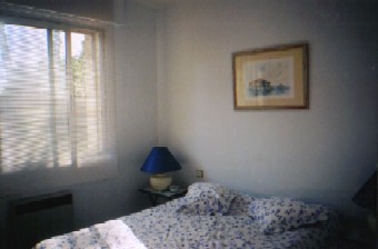 Photo N3:  Villa - maison Dune-de-l-Herbe Vacances Cap-Ferret Gironde (33) FRANCE 33-5134-1