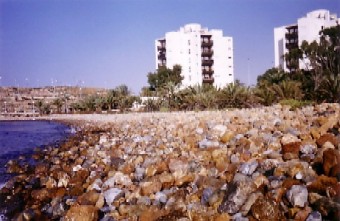 Photo N1:  Appartement da Playa-del-Mojon Vacances Cartagena Murcia ESPAGNE es-5244-3