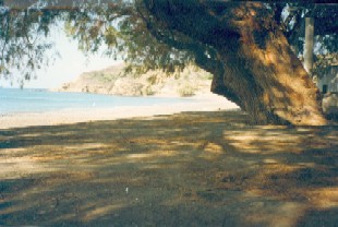 Photo N8:  Villa - maison Limnos-Beach Vacances Ile-de-Chios les mer Ege GRECE GR-3337-3