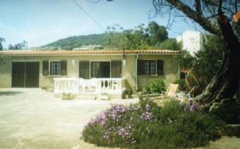 Photo N1:  Villa - maison l-Ile-Rousse Vacances l-Ile-Rousse Corse (20) FRANCE 20-5273-1