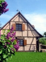 Photo N2:  Villa - maison Jebsheim Vacances Colmar Haut Rhin (68) FRANCE 68-5319-1