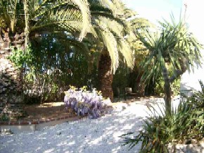Photo N°2:  Villa - maison Six-Fours-Les-Plages Vacances Toulon Var (83) FRANCE 83-5378-2