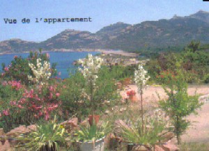 Photo N3:  Appartement    Galeria Vacances Calvi Corse (20) FRANCE 20-5444-1