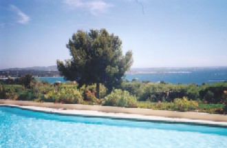 Photo N1: Location vacances Bandol Hyres Var (83) FRANCE 83-5504-1