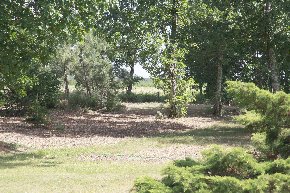 Photo N6: Location vacances Linxe Vielle-Saint-Girons Landes (40) FRANCE 40-5512-1