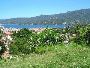 Photo N2:  Villa - maison Propriano Vacances  Corse (20) FRANCE 20-5590-1