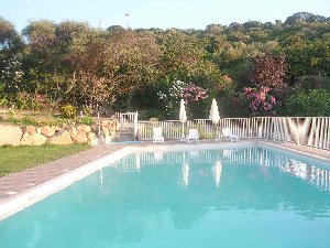 Photo N4:  Villa - maison Propriano Vacances  Corse (20) FRANCE 20-5590-1