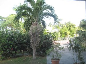 Photo N7:  Appartement da Sainte-Anne Vacances   Guadeloupe GP-2165-1