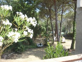 Photo N5: Location vacances Sant-Feliu-de-Guixols Grone Costa Brava (Catalogne) ESPAGNE es-2997-1