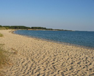 Photo N3:  Villa - maison La-Trinit-Sur-Mer Vacances Carnac Morbihan (56) FRANCE 56-5663-1