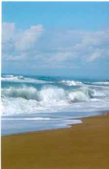 Photo N3:  Villa - maison Taxiarches Vacances Zacharo Ploponnse GRECE gr-5733-2