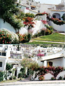 Photo N2:  Appartement    Nerja Vacances Malaga Costa del Sol (Andalousie) ESPAGNE es-5719-4