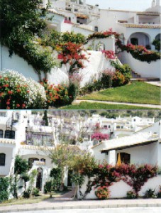 Photo N2: Location vacances Nerja Malaga Costa del Sol (Andalousie) ESPAGNE es-5719-4