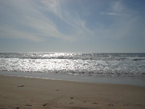 Photo N5: Location vacances Capbreton Bayonne Landes (40) FRANCE 40-2925-1