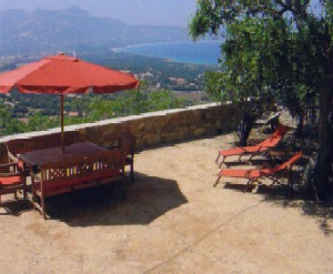 Photo N1:  Villa - maison Lumio Vacances Calvi Corse (20) FRANCE 20-5904-1