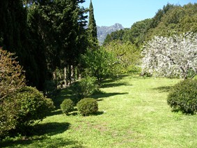 Photo N2:  Villa - maison Sisco Vacances Cap-Corse Corse (20) FRANCE 20-5976-1