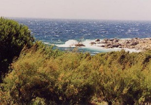 Photo N3: Location vacances Ile-Rousse Calvi Corse (20) FRANCE 20-5980-1