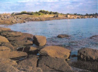 Photo N3:  Villa - maison Le-Cabellou Vacances Concarneau Finistre (29) FRANCE 29-6056-1