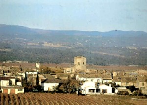 Photo N3:  Studio dans vi Rieux-Minervois Vacances  Aude (11) FRANCE 11-6058-1