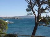 Photo N3: Location vacances Bandol Sanary-Sur-Mer Var (83) FRANCE 83-6084-1