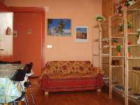 Photo N1:  Appartement    Rome Vacances  Latium - Rome ITALIE IT-6149-2