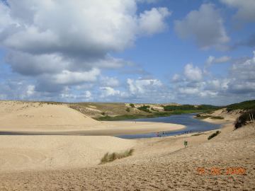 Photo N6:  Villa - maison Moliets Vacances Hossegor Landes (40) FRANCE 40-4228-1