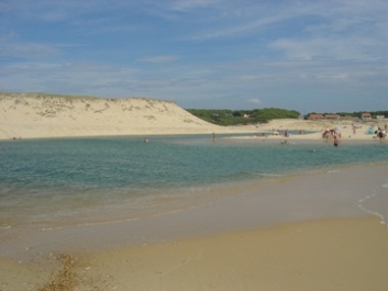 Photo N7: Location vacances Moliets Hossegor Landes (40) FRANCE 40-4228-1