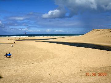 Photo N8:  Villa - maison Moliets Vacances Hossegor Landes (40) FRANCE 40-4228-1