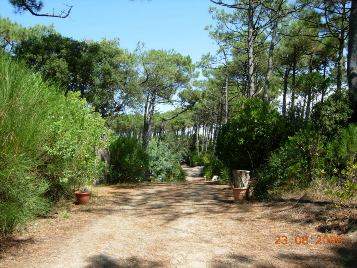 Photo N9: Location vacances Moliets Hossegor Landes (40) FRANCE 40-4228-1