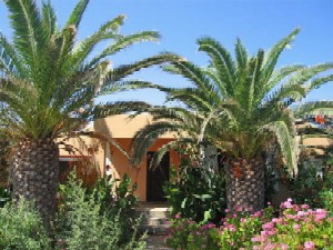 Photo N1:  Bungalow   Cha Chania Vacances Akrotiri-Stavros Crte GRECE gr-6258-1