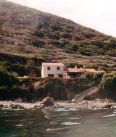 Photo N3:  Villa - maison Villanova Vacances Ajaccio Corse (20) FRANCE 20-6302-1