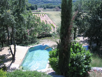 Photo N1:  Mas   Saint-Ma Saint-Martin-de-Castillon Vacances Apt Vaucluse (84) FRANCE 84-6308-1