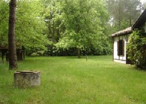 Photo N2:  Villa - maison Vielle-Saint-Girons Vacances Moliets Landes (40) FRANCE 40-6473-1