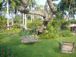 Photo N1:  Cottage   Miam Miami-Beach Vacances Miami Floride USA US-6499-2