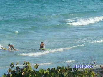 Photo N6:  Studio   Mont- Mont-Vernont Vacances Plage-Orient-Bay St Martin Guadeloupe gp-6587-1